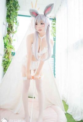 欧美日韩另类一区-午夜伦理免费观看韩国