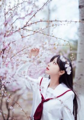 草草久久久无码国产专区-续集高清免费观看在线